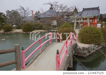 吉備津宇賀神社普賢院 修剪過的杉葉 吉備津宇賀神社普賢院 修剪過的杉葉 123467529