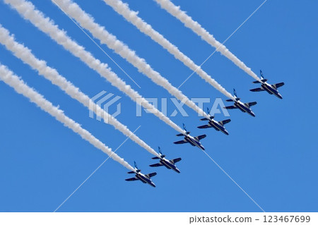 藍色的衝動在藍天中飛翔 123467699