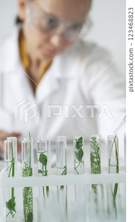 Woman scientist wearing a lab coat, is dripping liquid from a pipette into a test tube with a green plant inside, vertical close up view. Science and medicine concepts 123468823