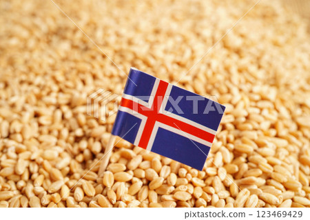 Iceland flag on grain wheat, trade export and economy concept. 123469429