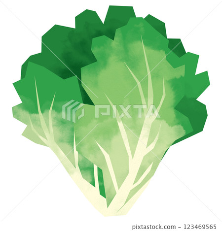 Paper-cut style leaf lettuce Paper-cut style leaf lettuce 123469565