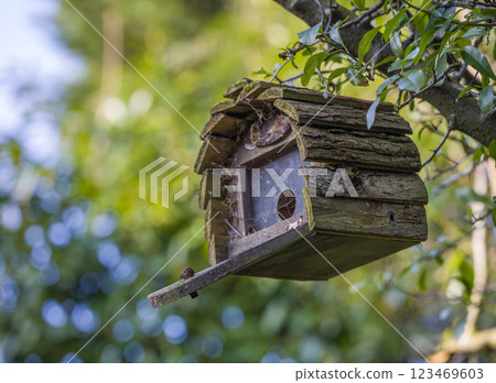 Rustic Wooden Birdhouse on a tree branch Rustic Wooden Birdhouse on a tree branch 123469603
