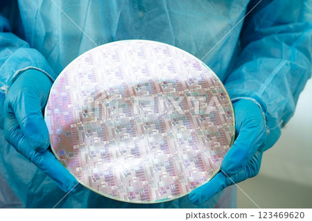 Silicon wafer for manufacturing semiconductor of integrated circuit. 123469620