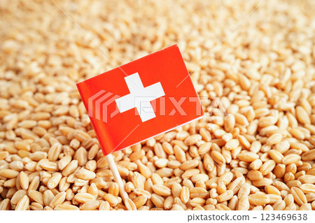 Russia flag on grain wheat, trade export and economy concept. 123469638