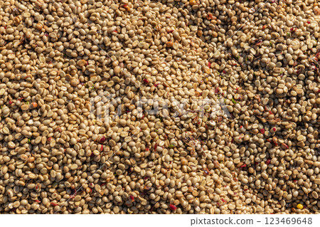 The process of making coffee beans dry by using sunlight. The process of making coffee beans dry by using sunlight. 123469648