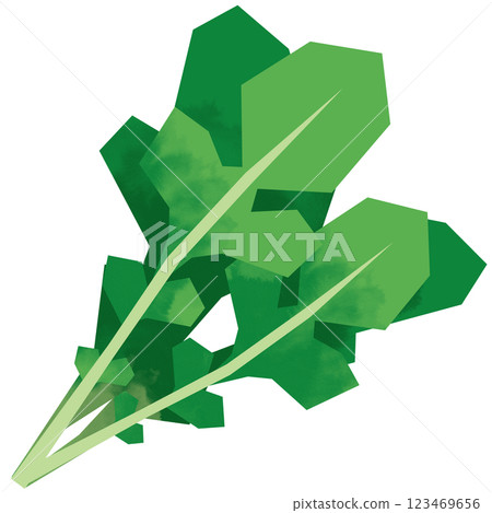 Paper-cut style arugula Paper-cut style arugula 123469656