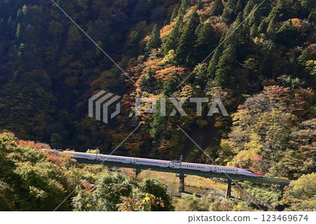 Akita Shinkansen Akita Shinkansen 123469674