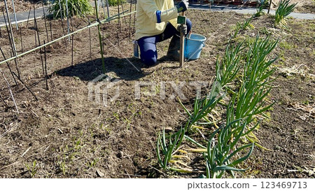 Working in a field putting up signs for chives Working in a field putting up signs for chives 123469713