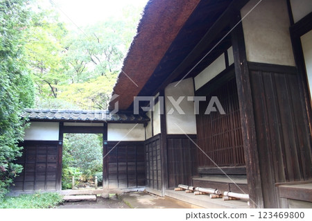 Under the eaves of a thatched roof 123469800