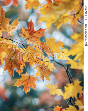 Autumn maple leaves AI image 123469840