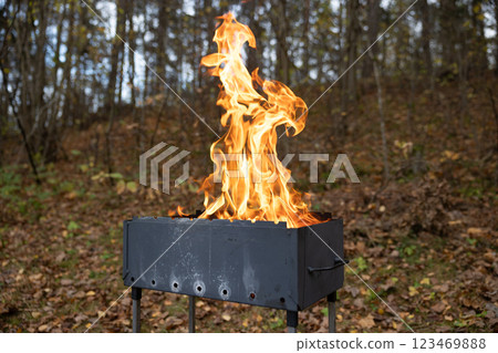 Large flames rising from a charcoal barbecue grill in a forest. Outdoor cooking and fire safety concept Large flames rising from a charcoal barbecue grill in a forest. Outdoor cooking and fire safety concept 123469888