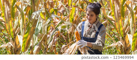 Farmer work in a field with corn. agriculture irrigation concept. Farmer work in a field with corn. agriculture irrigation concept. 123469994