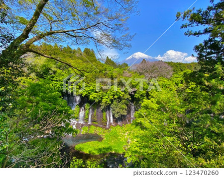 Shiraito Falls with Mt. Fuji, Japan 123470260