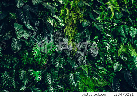 Herb wall, plant wall, natural green wallpaper and background 123470281