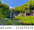 Shiraito Falls, Shizuoka Prefecture 123470338