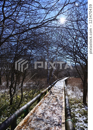 戰場原的風景 123470439