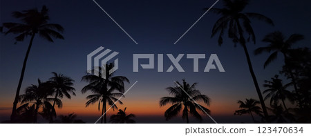 Coconut tree silhouette on paradise sunset, 123470634