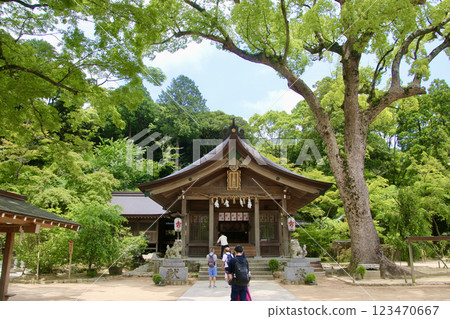 灶門神社正殿（福岡縣太宰府市） 123470667