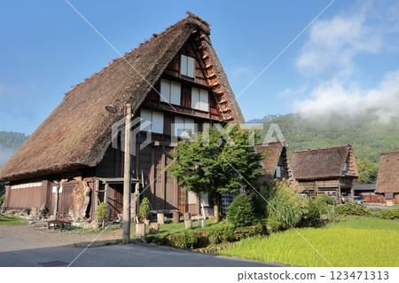 A landscape with architecture with principal ridges 123471313