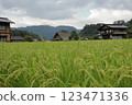 夏天的白川鄉合掌造 123471336