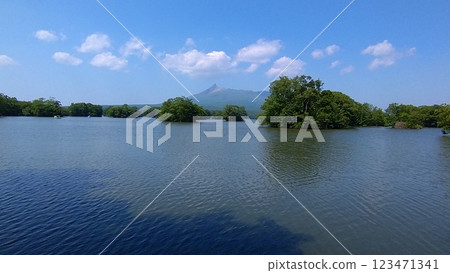 Scenery of Onuma Park in summer 123471341