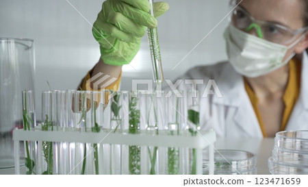 Woman scientist wearing a lab coat, green gloves and mask holding a test tube with plants inside, close up. Science and medicine concepts 123471659
