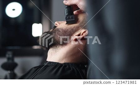 Professional barber trimming client's beard with electric razor, delivering precise styling within contemporary grooming salon setting Professional barber trimming client's beard with electric razor, delivering precise styling within contemporary grooming salon setting 123471981