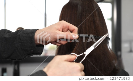 Professional hairdresser is carefully combing sleek brown female hair and using professional scissors to cut it while working precisely within bright modern salon setting Professional hairdresser is carefully combing sleek brown female hair and using professional scissors to cut it while working precisely within bright modern salon setting 123471983
