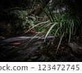 River flow 123472745