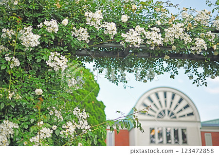 White building at Minato Mirai Park 123472858