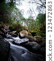 Clear stream 123472863