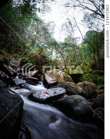 Clear stream 123472863