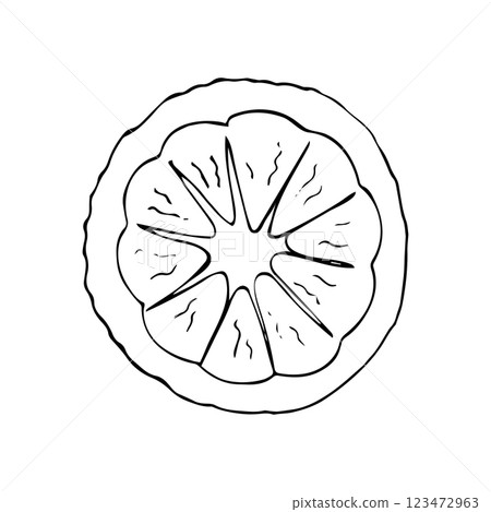Ripe lemon fruit slice. Hand-drawn half lemon. Fresh and Juicy Lemon isolated on white background. Ripe lemon fruit slice. Hand-drawn half lemon. Fresh and Juicy Lemon isolated on white background. 123472963