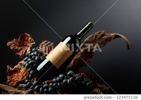 Bottle of red wine with empty label on a old snags. 123473116