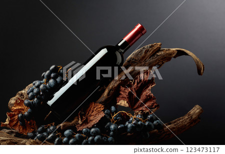 Bottle of red wine with grapes and dried-up vine leaves on old wooden snags. 123473117