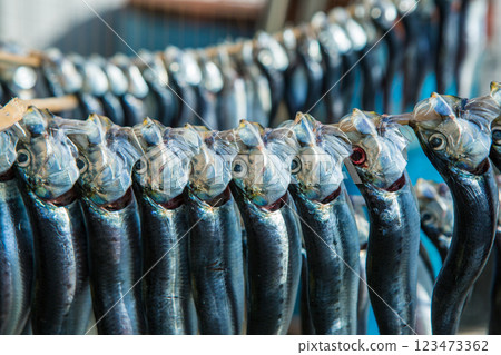 整條乾沙丁魚 123473362