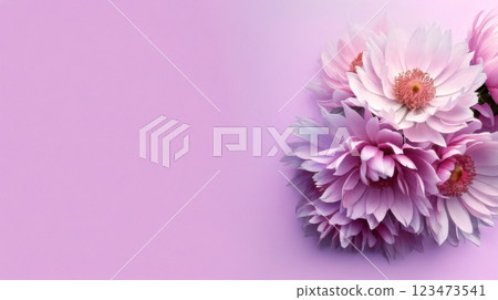 Beautiful gerbera flower 123473541