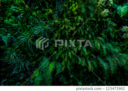 Herb wall, plant wall, natural green wallpaper and background. 123473902
