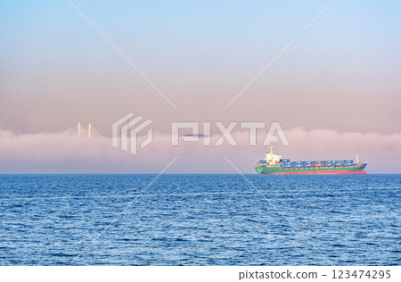 Container ship navigates through fog near the coastline at dawn 123474295