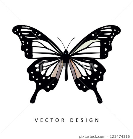 beautiful butterfly vector design isolated illustration 123474316