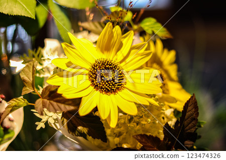 黃花 黃花 123474326