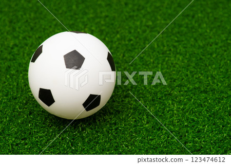 Miniature soccer ball and artificial turf Miniature soccer ball and artificial turf 123474612