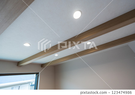 Downlights and decorative beams 123474986