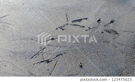 Sand Drawing on Riverbank at Dawn, Xindian Guishan, New Taipei City, Taiwan. Sand Drawing on Riverbank at Dawn, Xindian Guishan, New Taipei City, Taiwan. 123475025