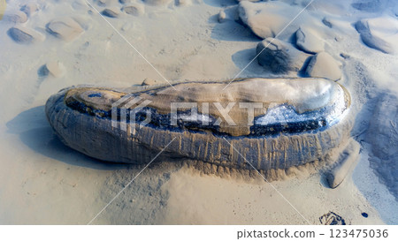 Clear River Water and Layered Light on Riverbank at Dawn, Xindian, Taiwan. Clear River Water and Layered Light on Riverbank at Dawn, Xindian, Taiwan. 123475036