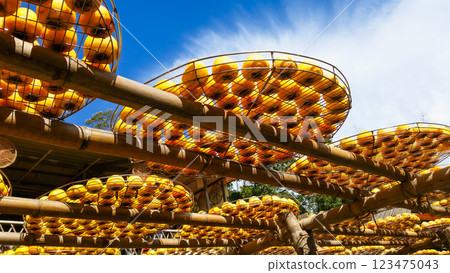 Persimmon Drying Racks Under the Sun in Xinpu, Taiwan. 123475043