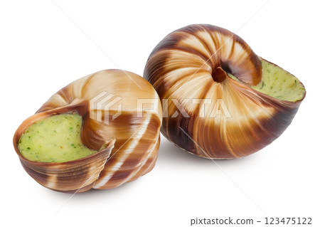 escargot snail filled with garlic and parsley butter isolated on white background escargot snail filled with garlic and parsley butter isolated on white background 123475122