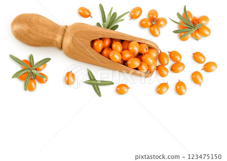 Sea buckthorn with leaves in wooden scoop isolated on white background. Top view with copy space for your text. Flat lay Sea buckthorn with leaves in wooden scoop isolated on white background. Top view with copy space for your text. Flat lay 123475150