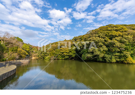 蓮池歷史公園（宮崎縣宮崎市） 123475236