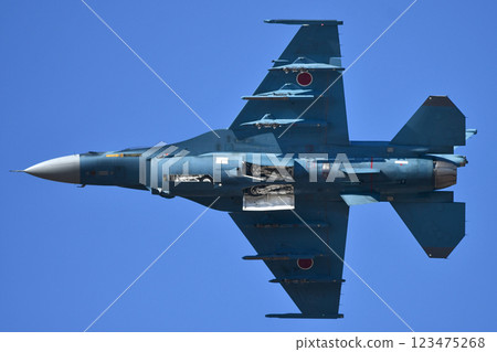 空中自衛隊F-2戰鬥機 123475268